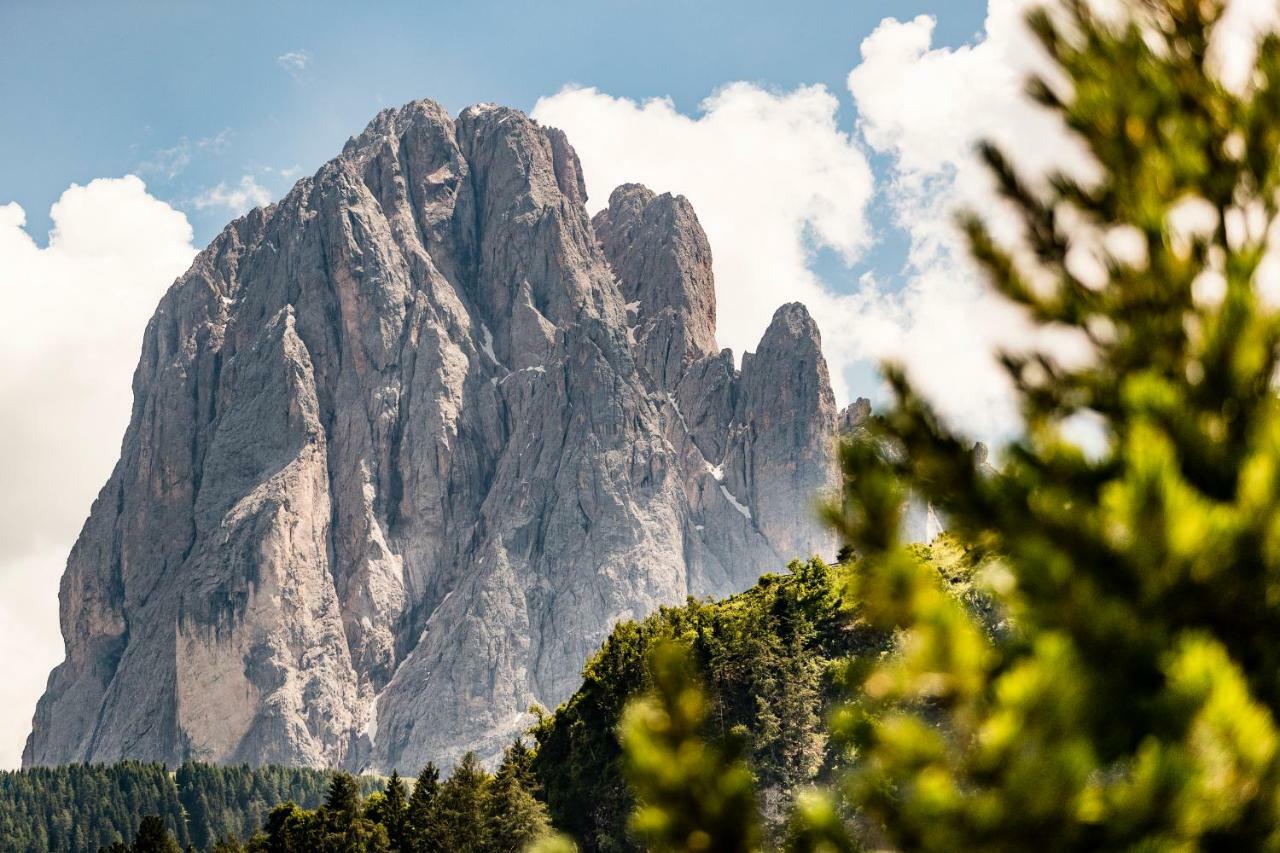 Appartamenti Hetty Santa Cristina Val Gardena Ngoại thất bức ảnh